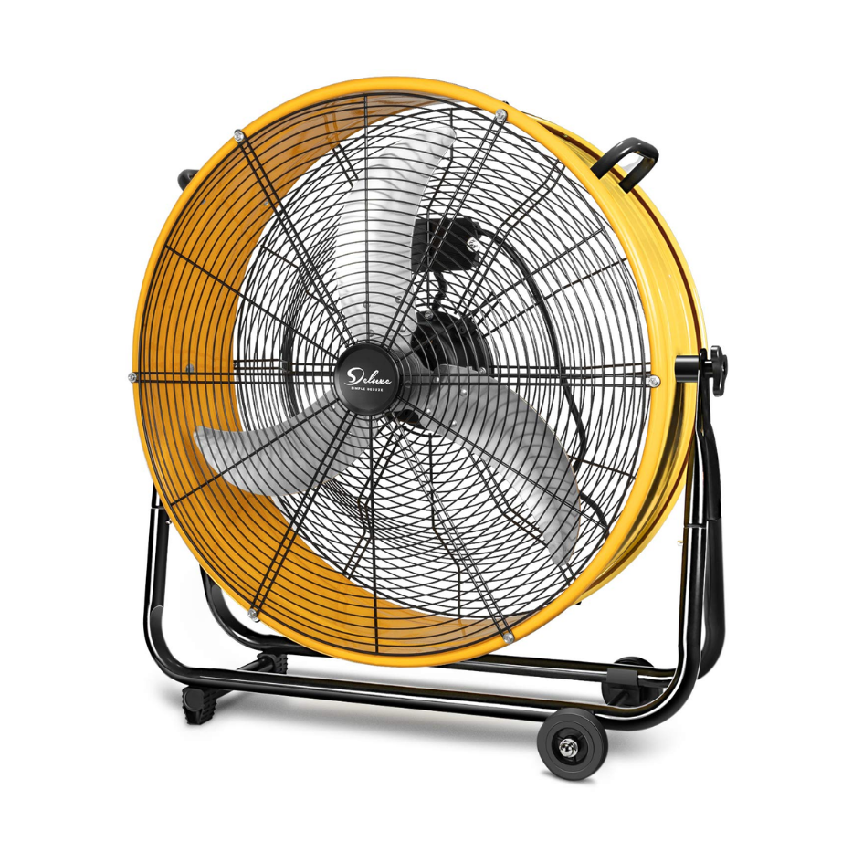 Fans