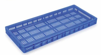 Hyphen-SCS-Ribbon-Fish-Crate-Item-Code-73070-TP.jpeg